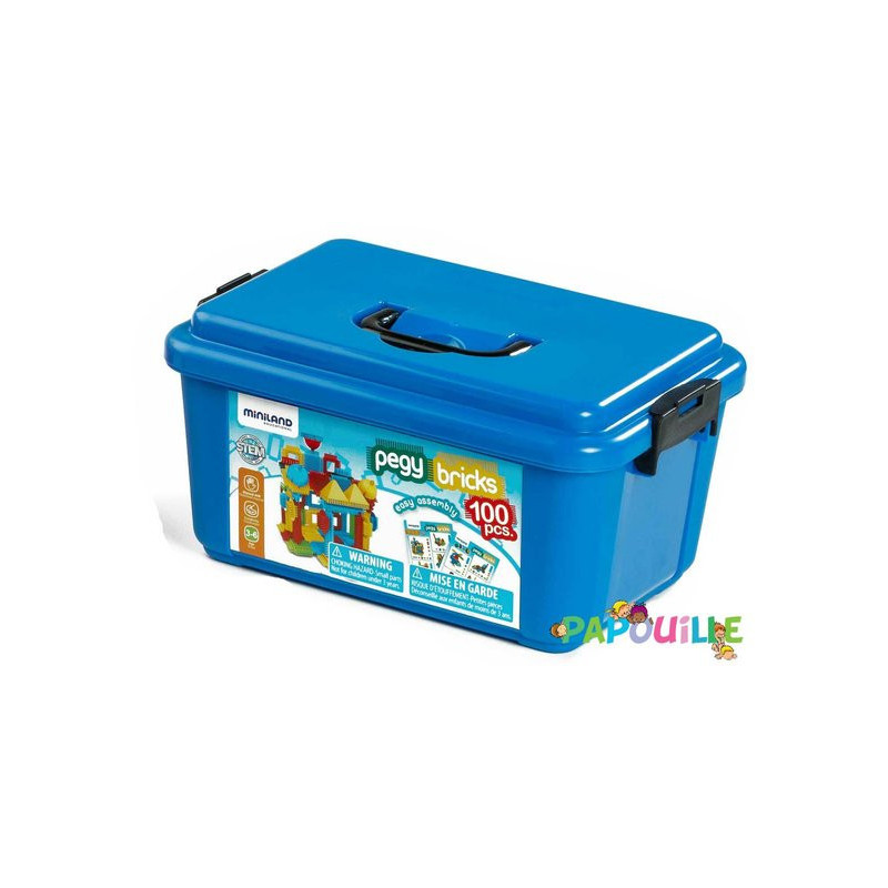 Coffret de 100 bricks