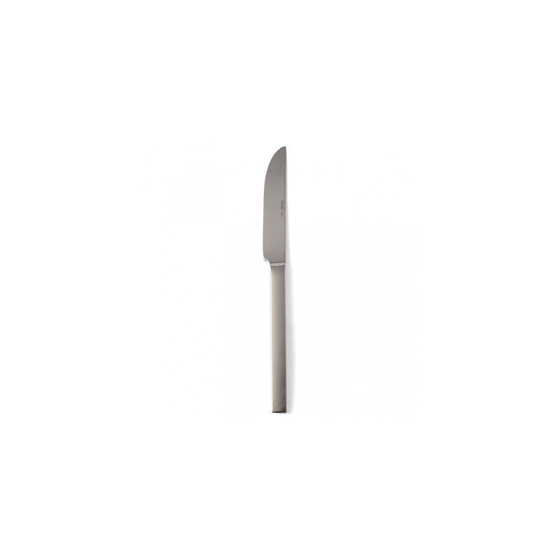 Couteau inox 21cm
