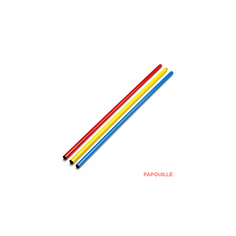 Jalon 80 cm