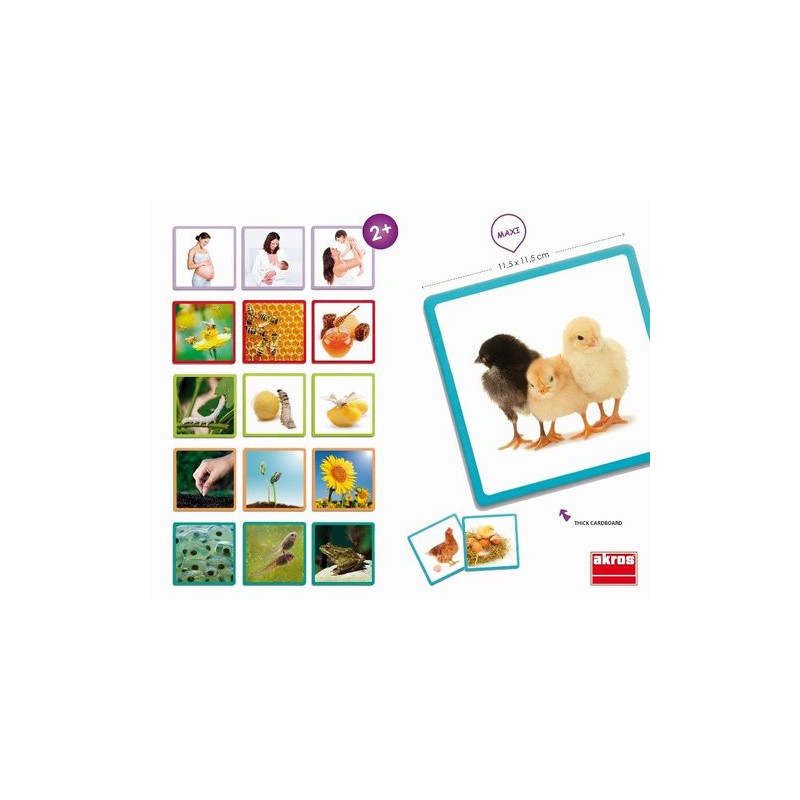Cartes l’évolution dans la nature ( pour les enfants de 1 an et plus )