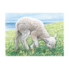 Puzzle de cubes, animaux de la ferme
