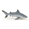 Figurine Requin bouledogue