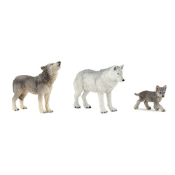 Famille de loup 10 mois et plus
