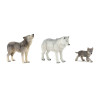Famille de loup 10 mois et plus