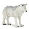 Famille de loup 10 mois et plus