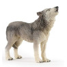 Famille de loup 10 mois et plus