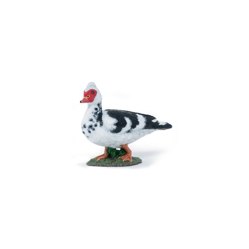 Figurine  Canard de Barbarie 10 mois et plus