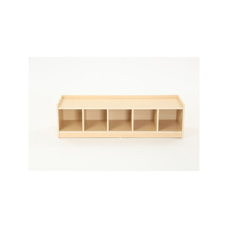 Low Storage Cabinet with 5 Compartments