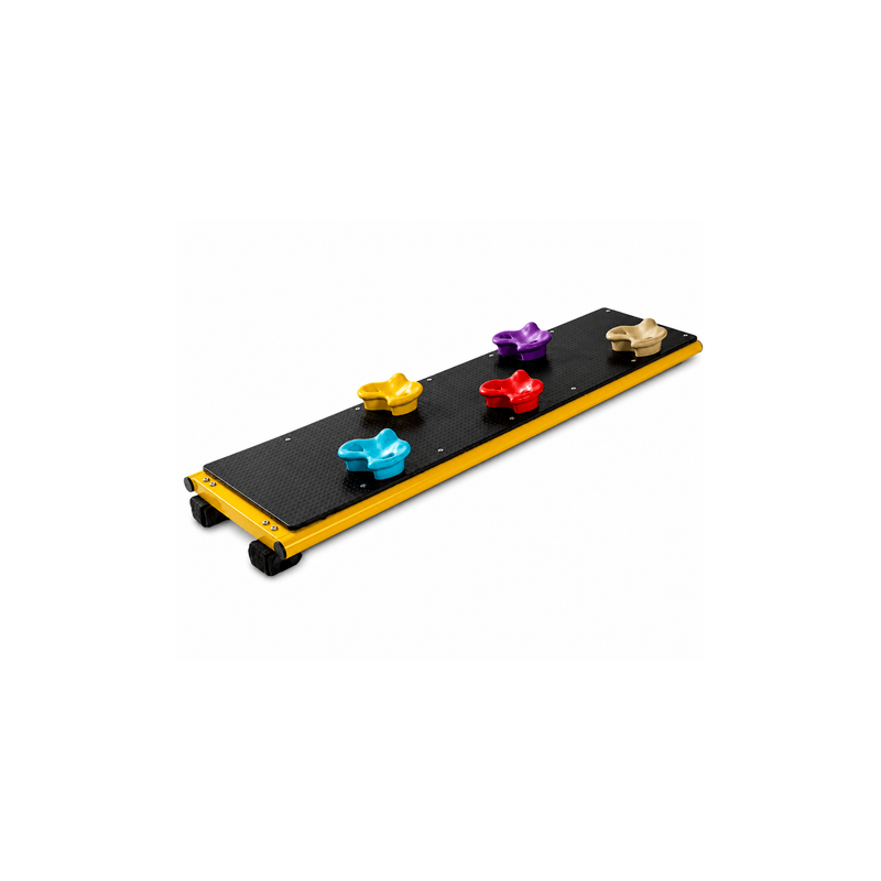OXYGYM - Climbing Wall with Handholds