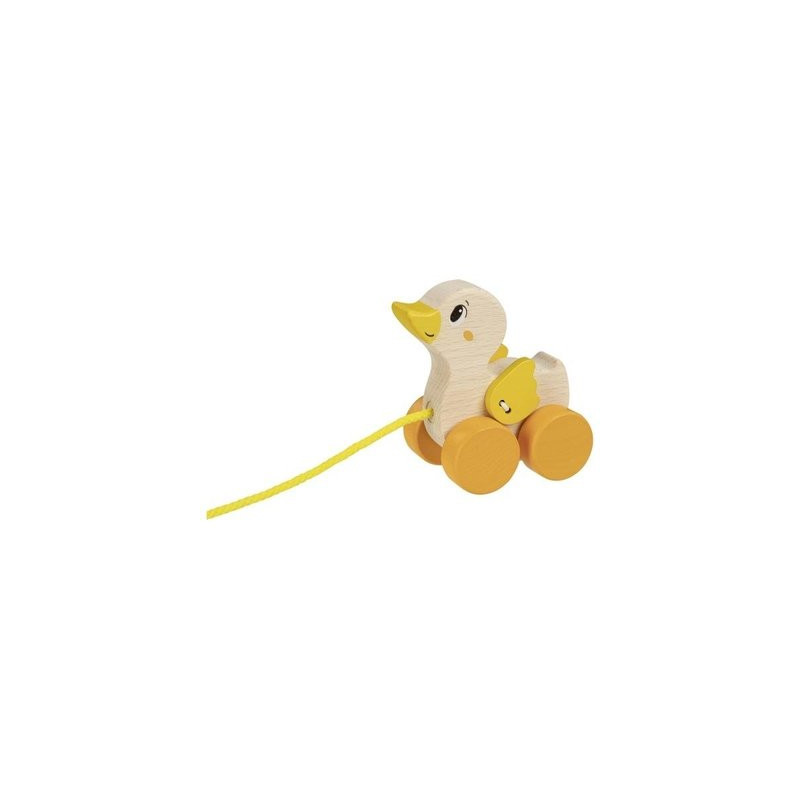 Canard à tirer