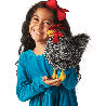 Marionnette - Poule