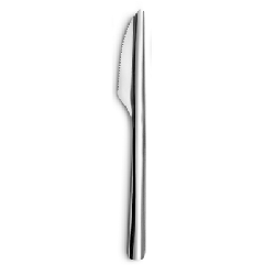 Lot de 12 couteaux an acier inoxydable