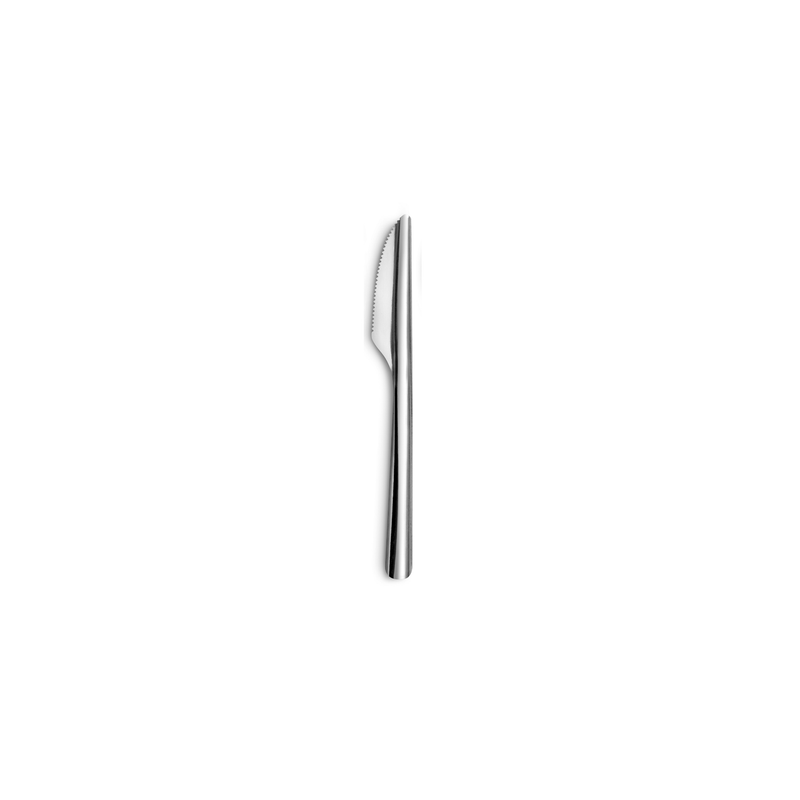 Lot de 12 couteaux an acier inoxydable
