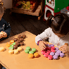 Jeu éducatif - macarons