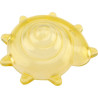 Coquillages sensoriels transparents - 36 pièces